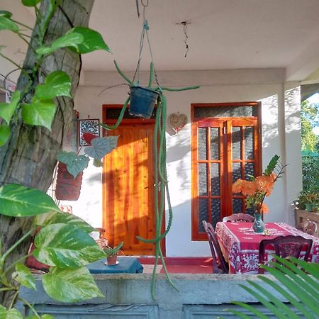 Nelum Home Stay Szigirija Kültér fotó